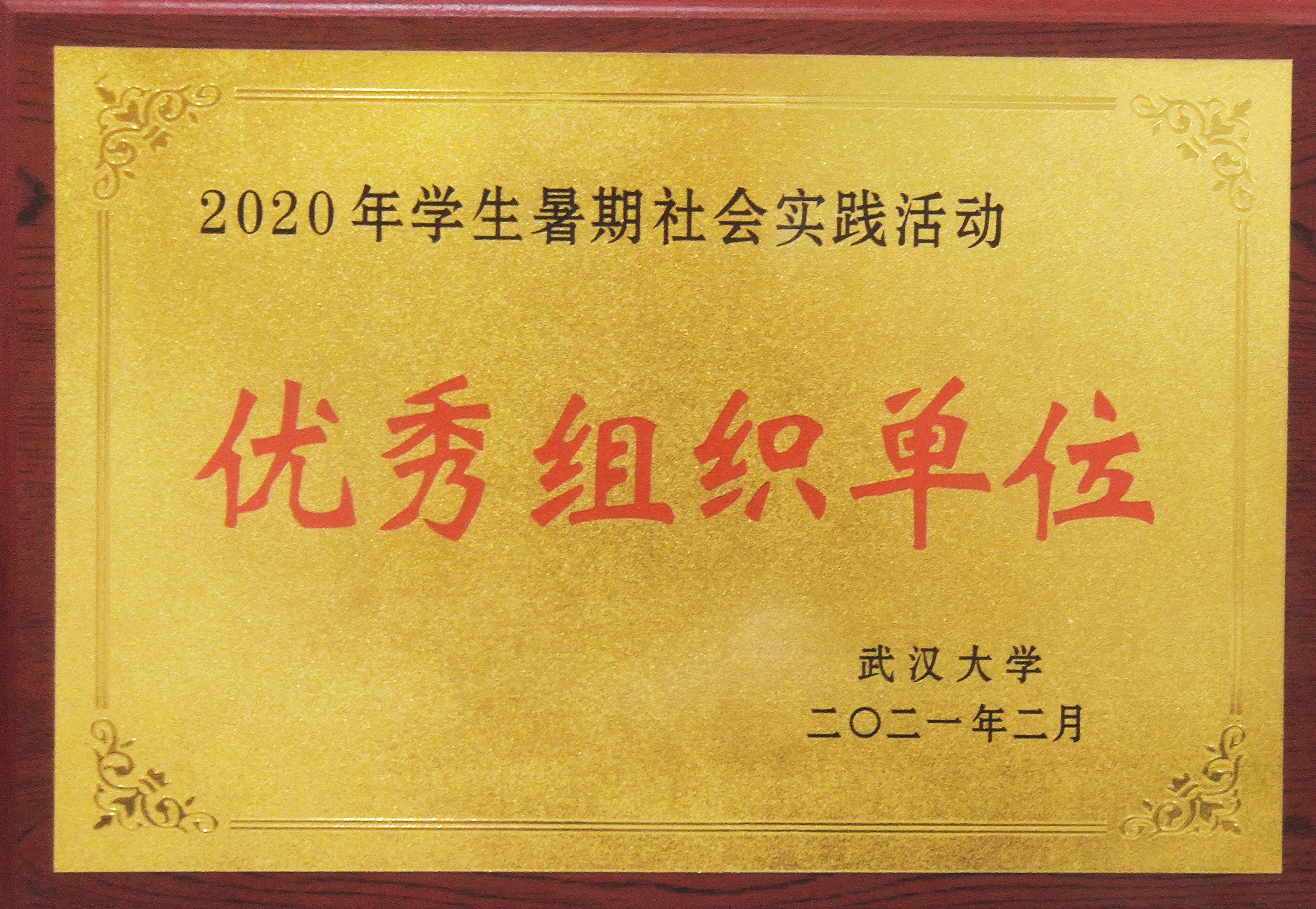 媒体链接 | 我们获评2020年暑期社会实践活动优秀组织单位